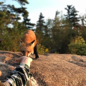 Meet your Posher, Brady